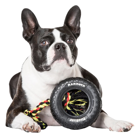 Tirebiter Original Rubber Dog Toy with Cottonblend Assorted Color Rope, Small 6"